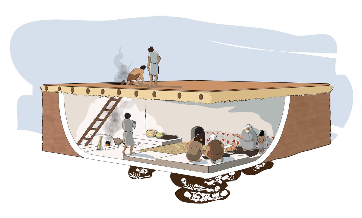 A reconstruction showing the use of space and the layout of a typical house. Illustration by Kathryn Killackey.